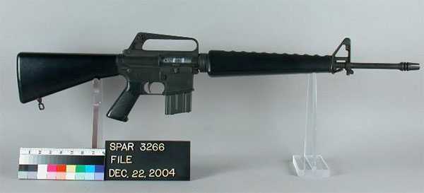 AR 15/M16A1(奥顿贵族帝国)