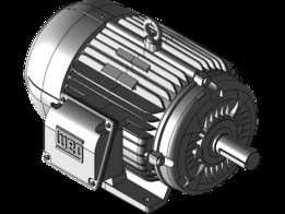 Motor WEG W22 IR3 Premium Carca?a 132M B3D IC411-TFVE