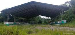 �����ݣ�Coliseo uso 