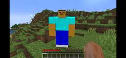 ���ҵ����硷Steve