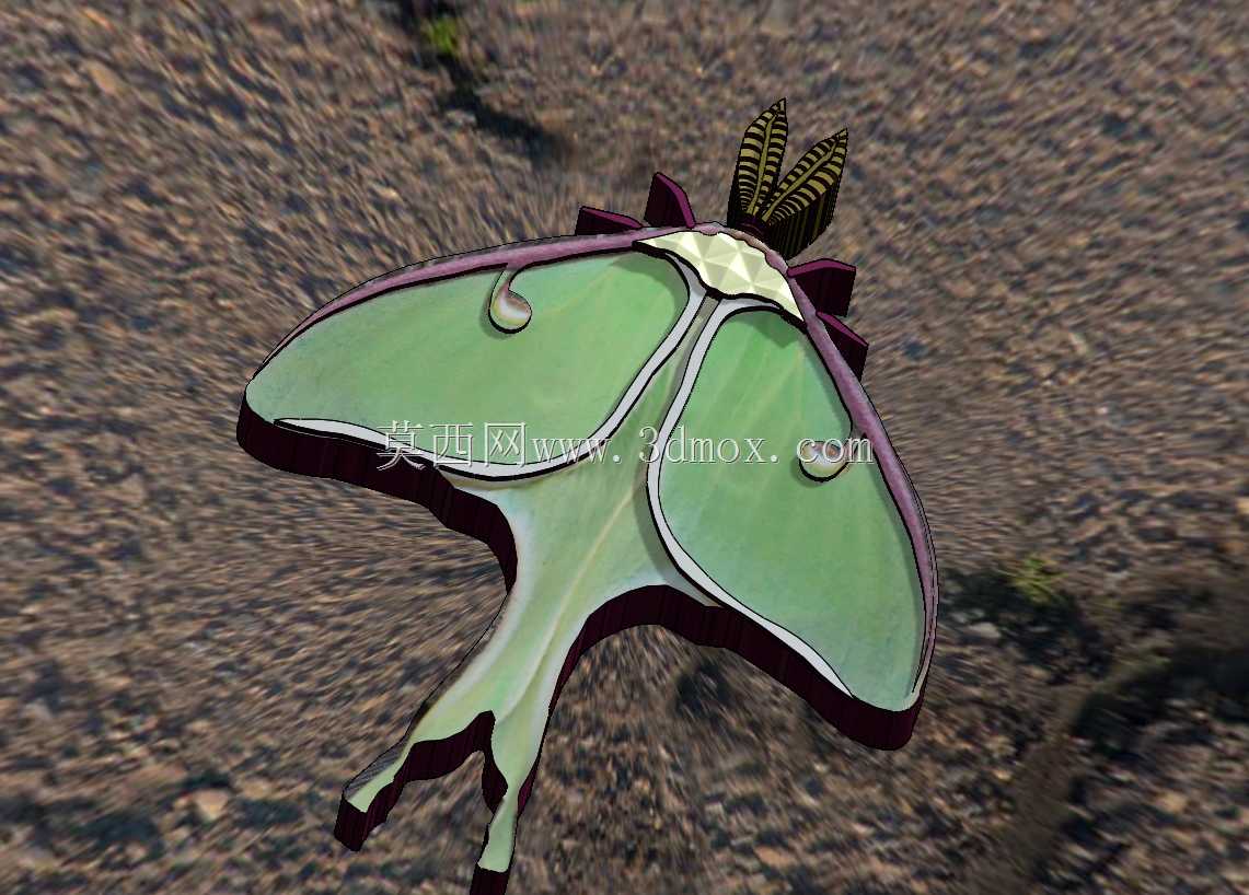 ¶�ȶ�