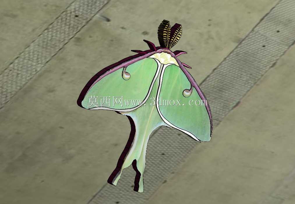 ¶�ȶ�