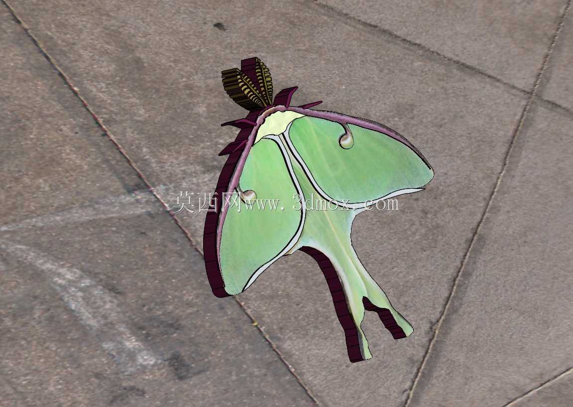 ¶�ȶ�