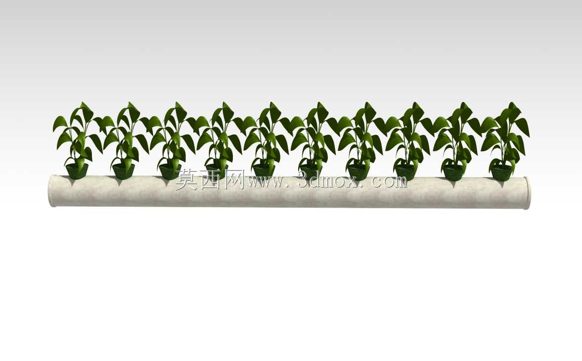 \“农业革命:控制植物生长的冷等离子体水培系统”