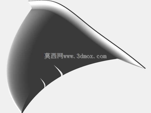 鱼翅