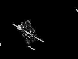 װ��Ʒ-1