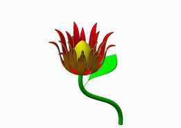 花