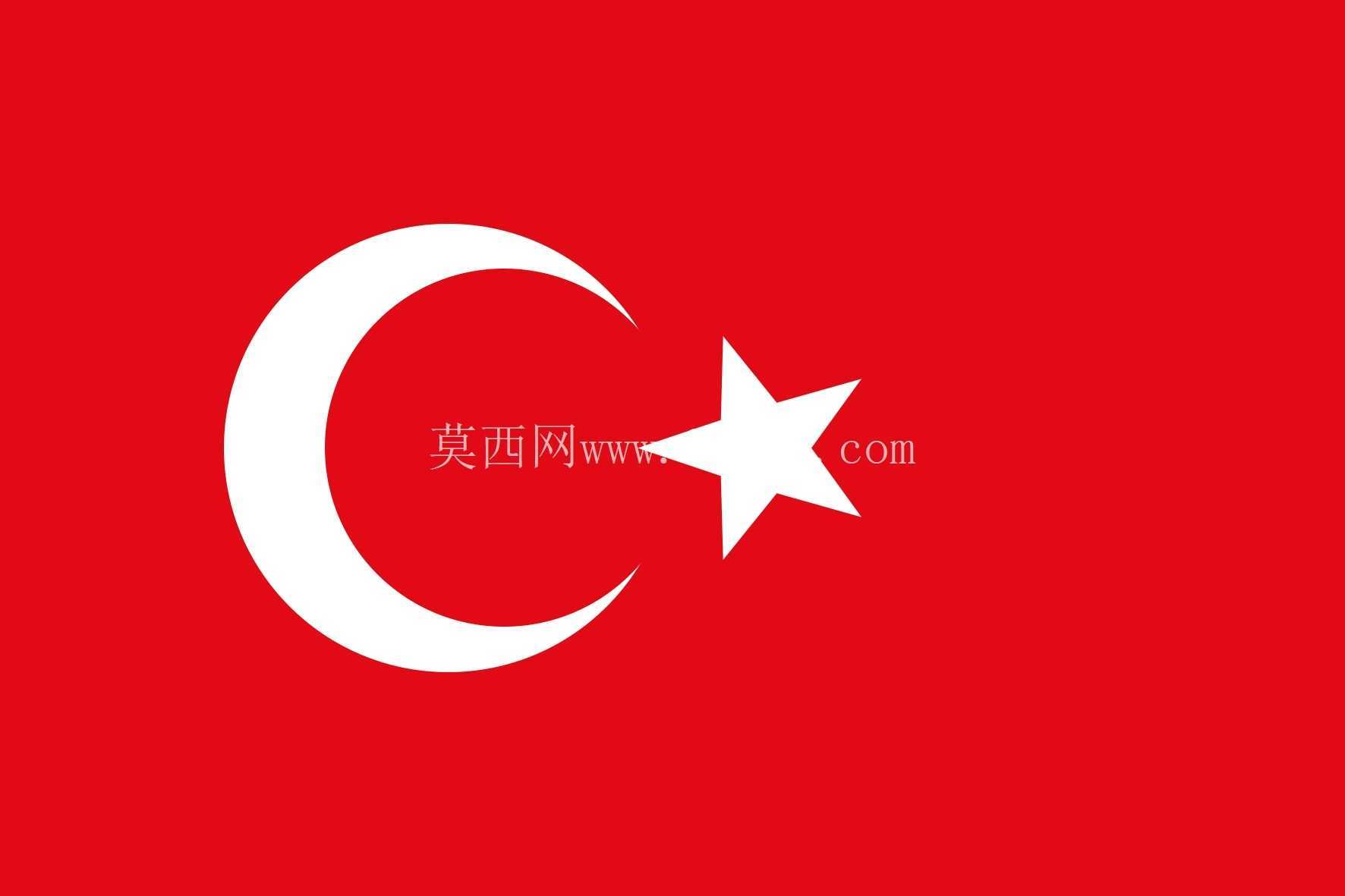 图尔克·拜拉伊