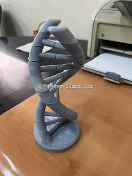 DNA����3Dģ��