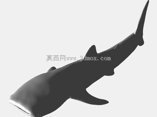 鲸鲨模型