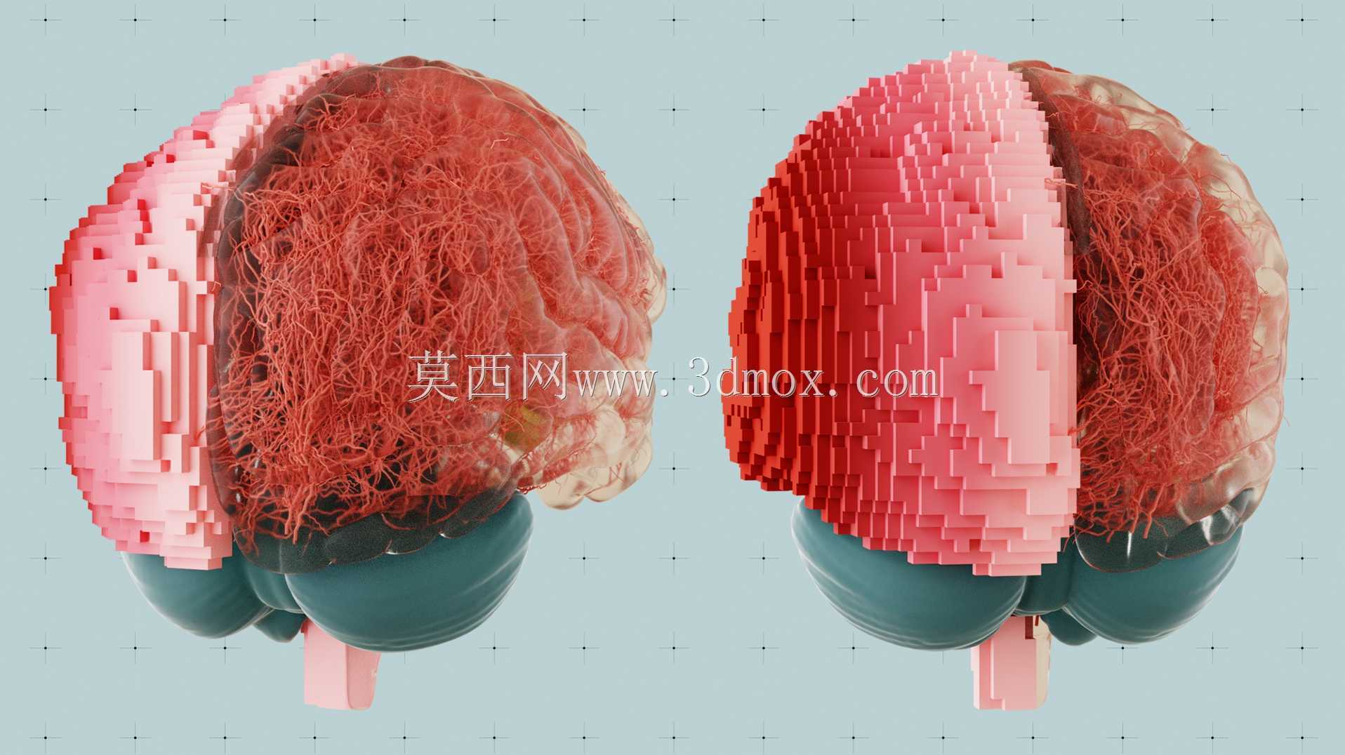 3D打印大脑解剖设计