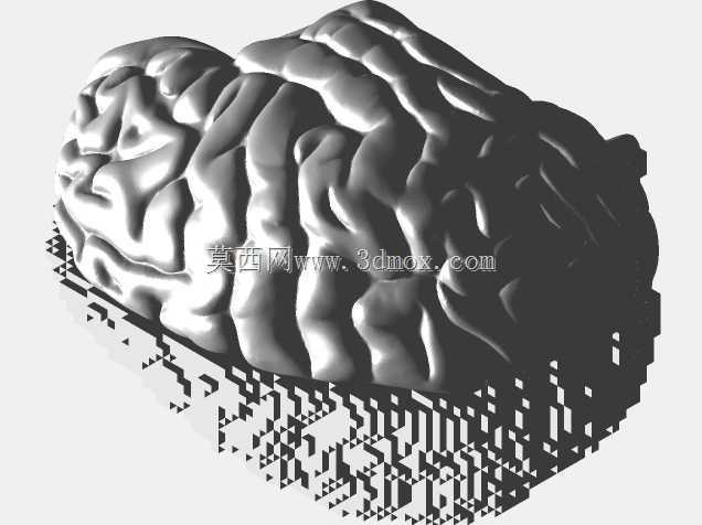 3D打印大脑解剖设计