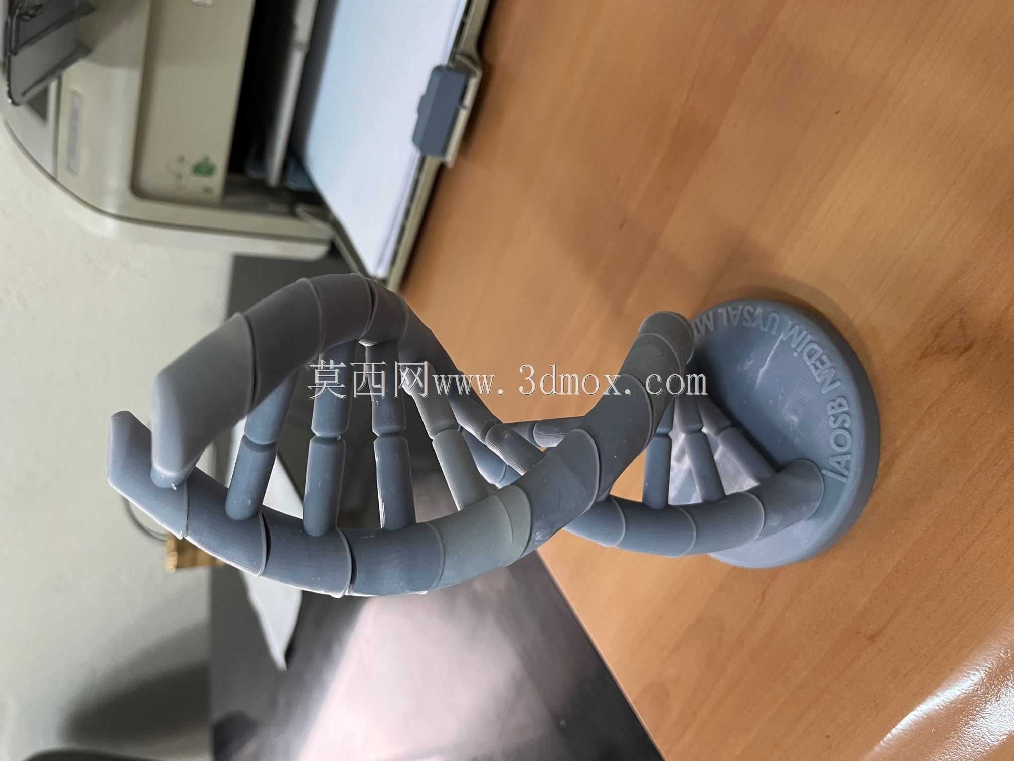DNA螺旋3D模型