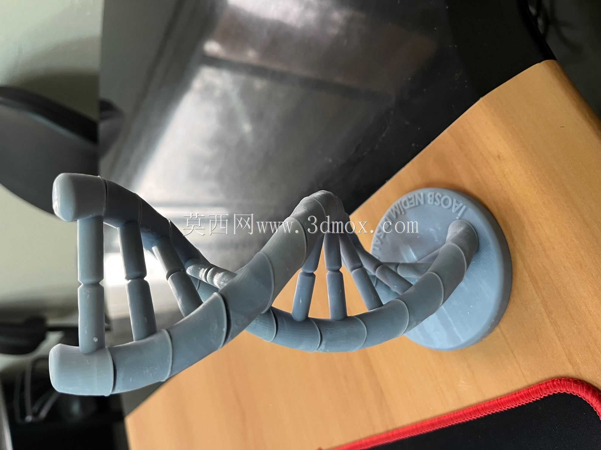 DNA螺旋3D模型