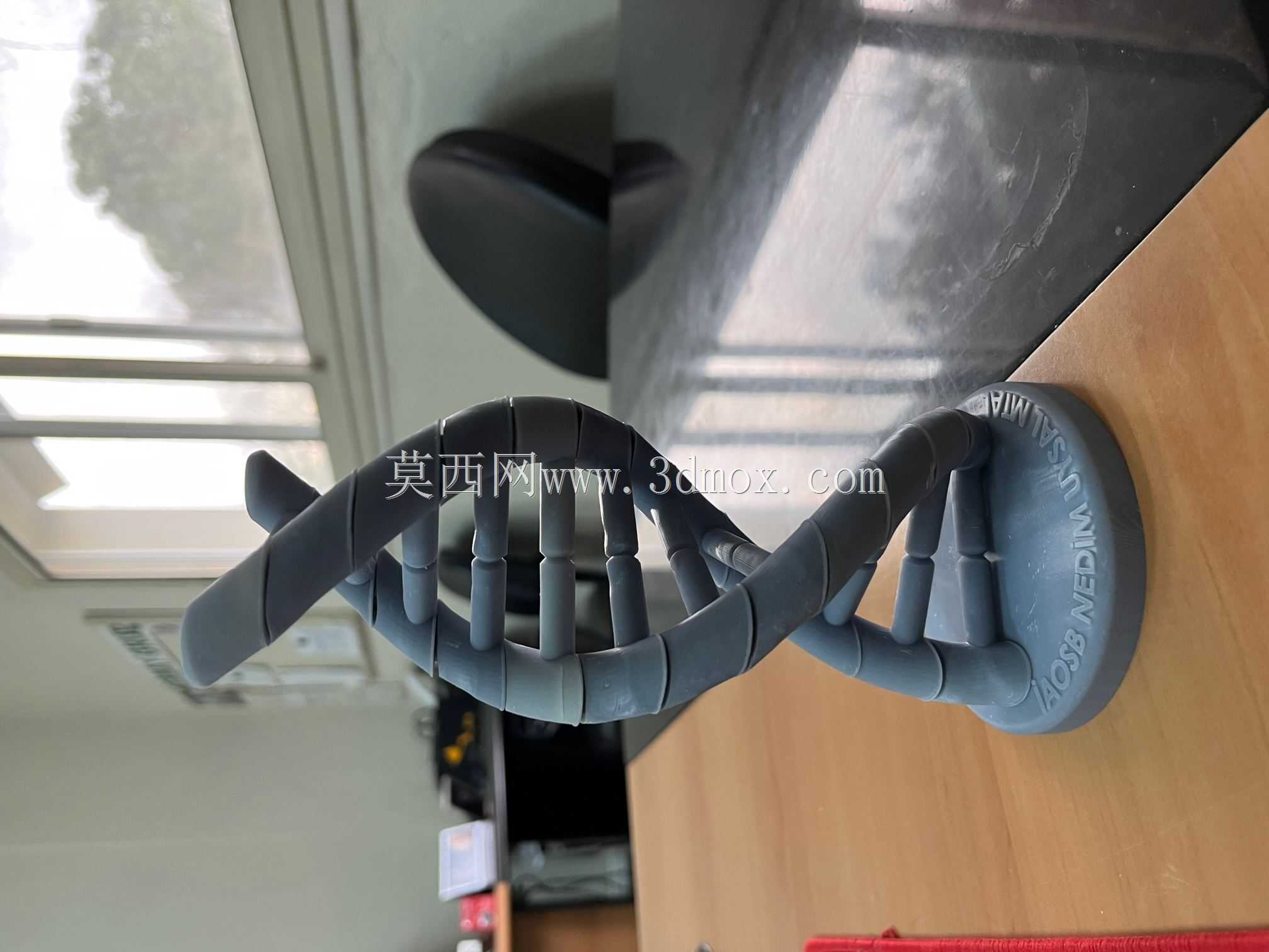 DNA螺旋3D模型