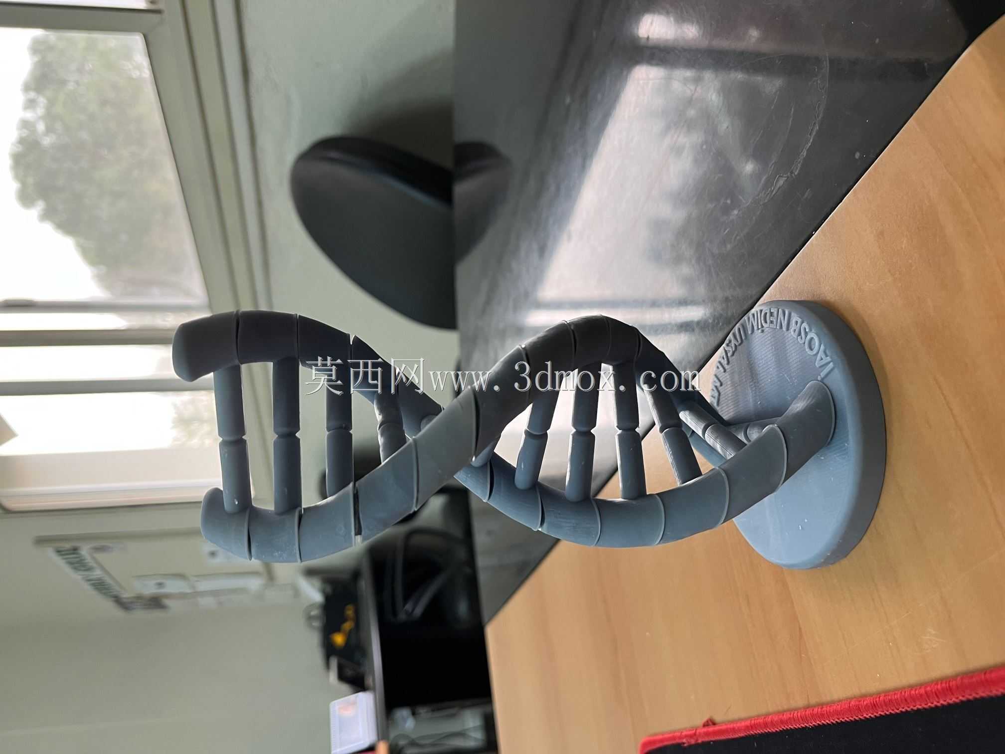 DNA螺旋3D模型