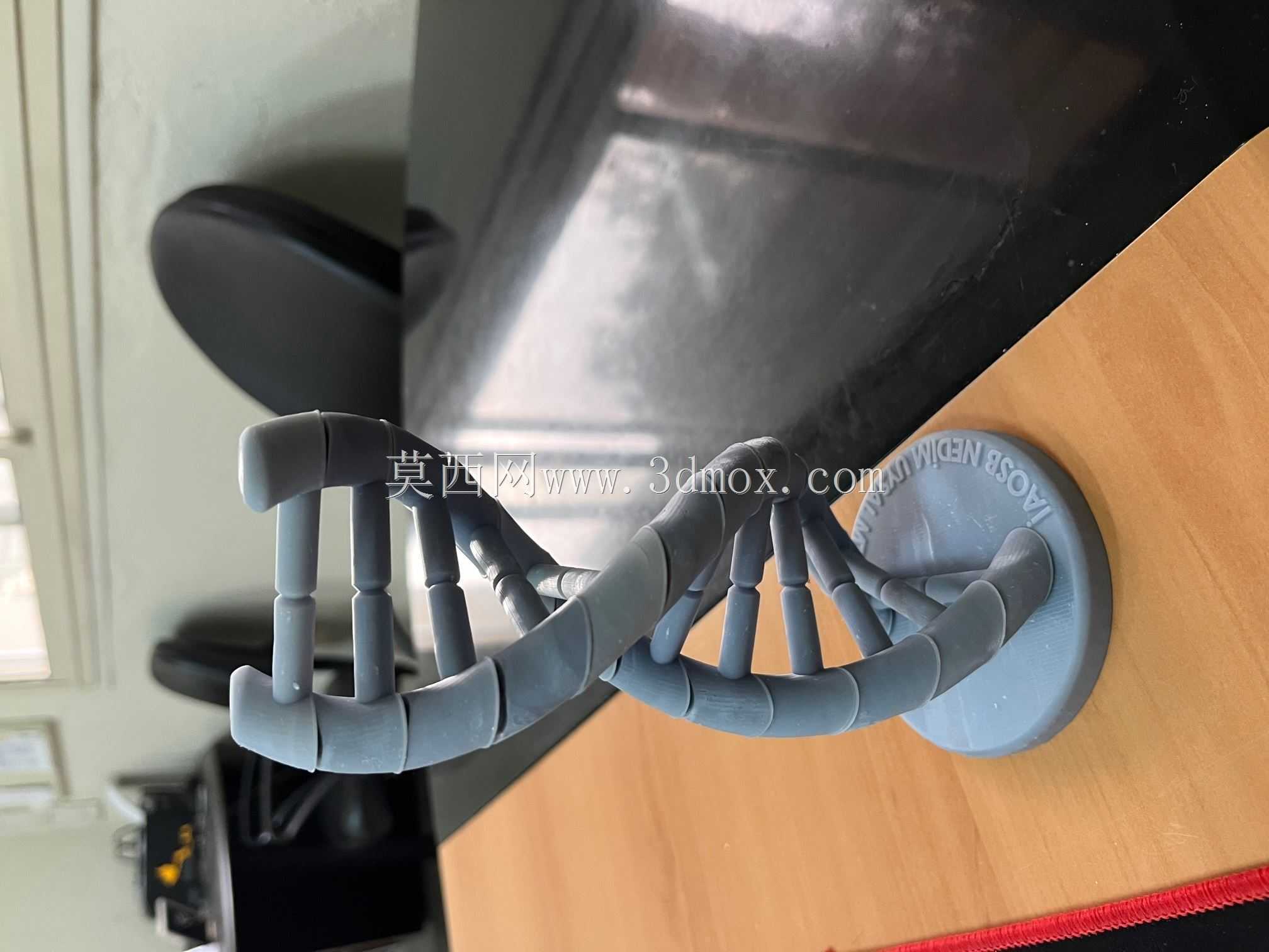 DNA螺旋3D模型