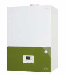 Daxom/Navidens �ڹ�