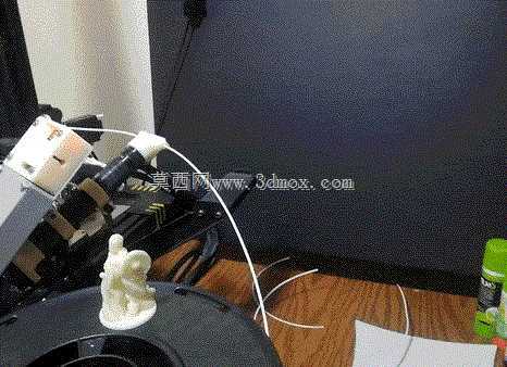 3D��ӡ��˿������