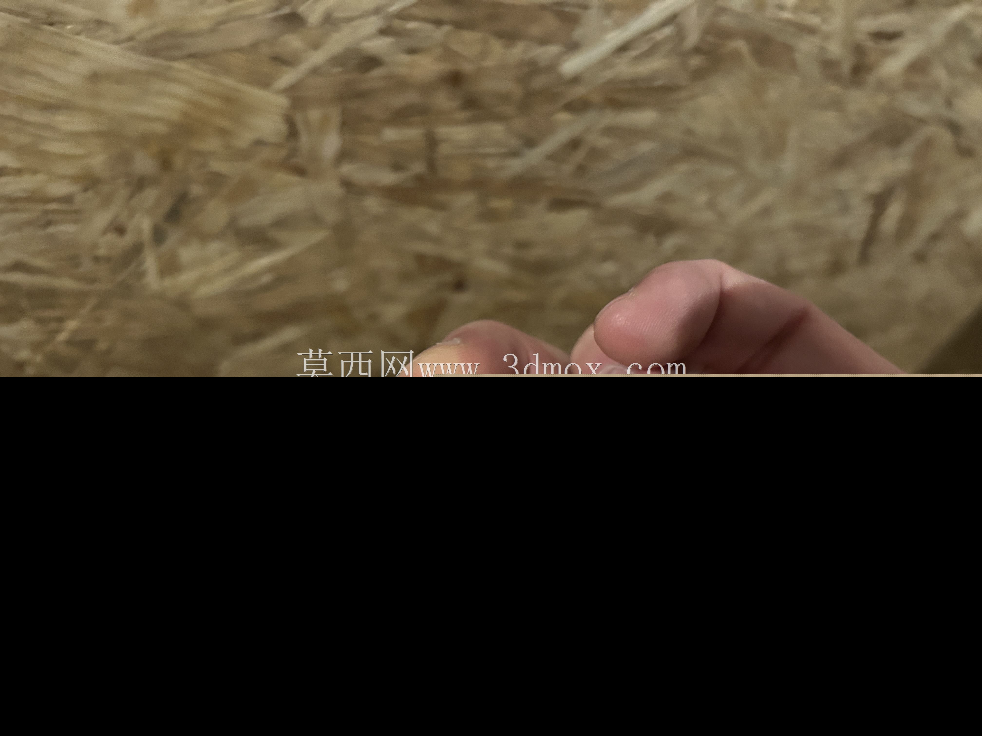 雪莉2pm对电板的支持