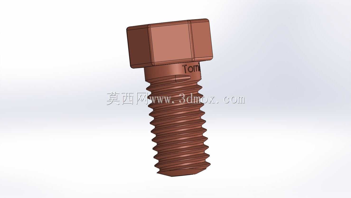 Tornillo/��˿