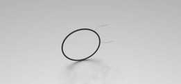 o-ring