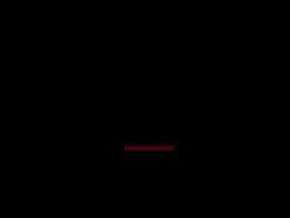 ���չ�������