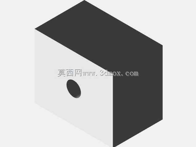 十七内脏