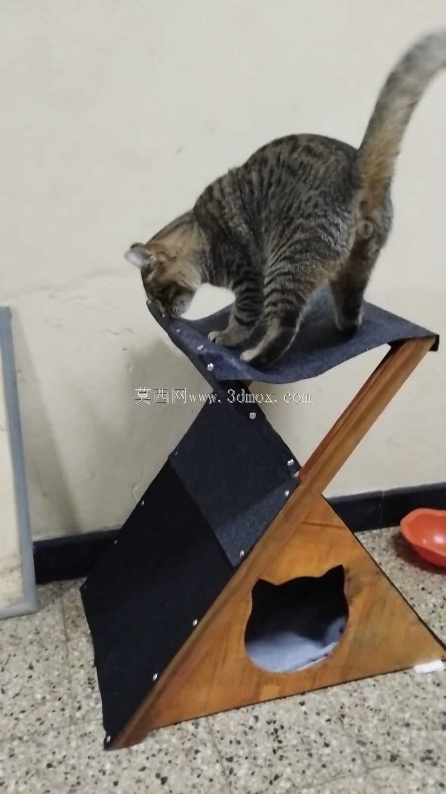 è�Ҿ�