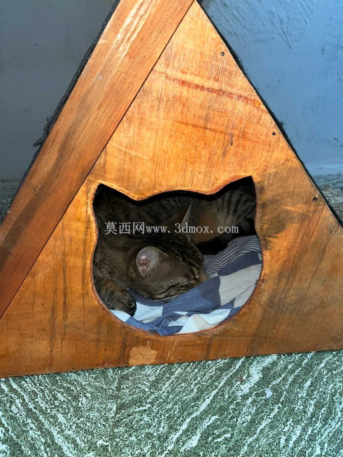 è�Ҿ�
