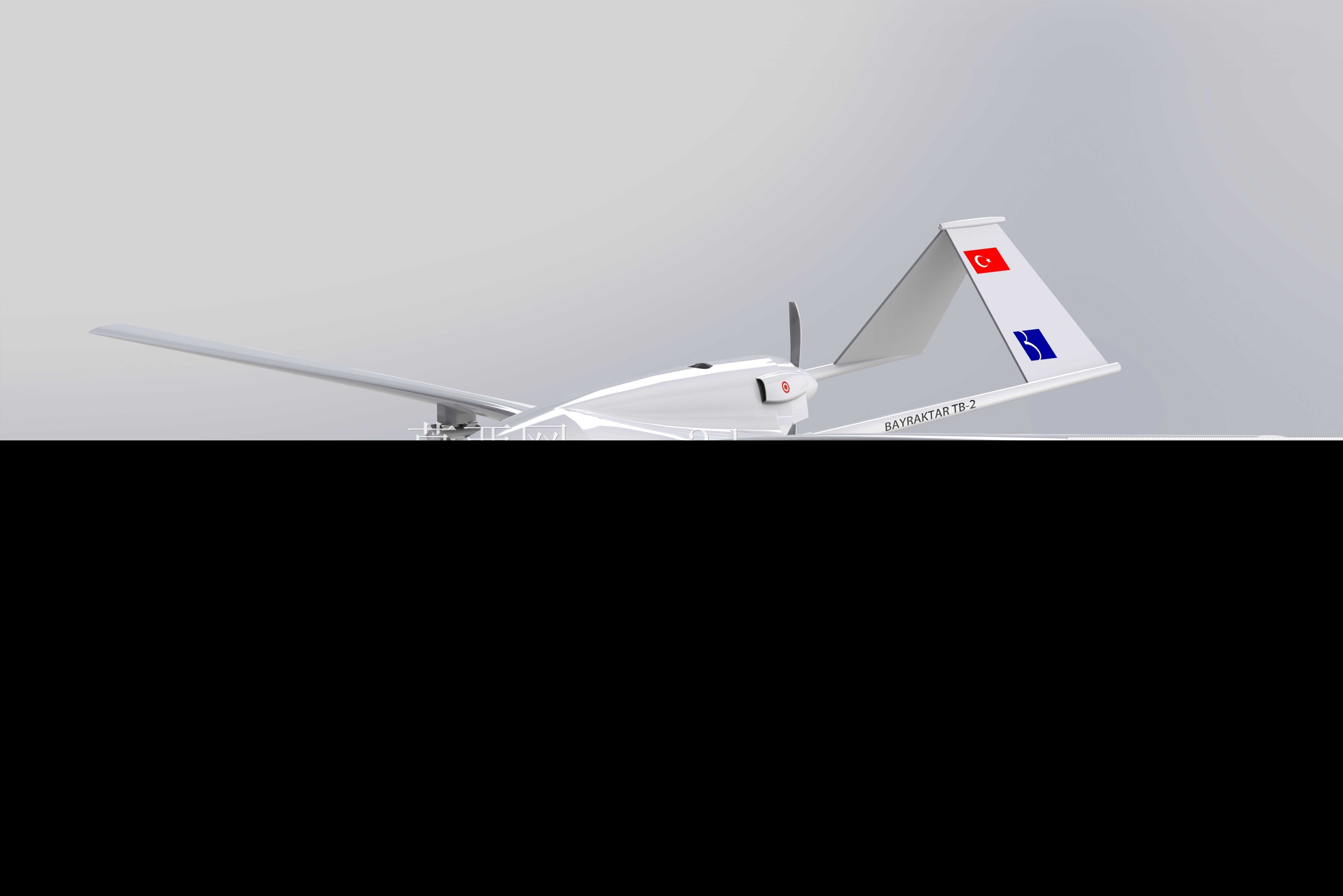 Bayraktar TB-2|���˻�