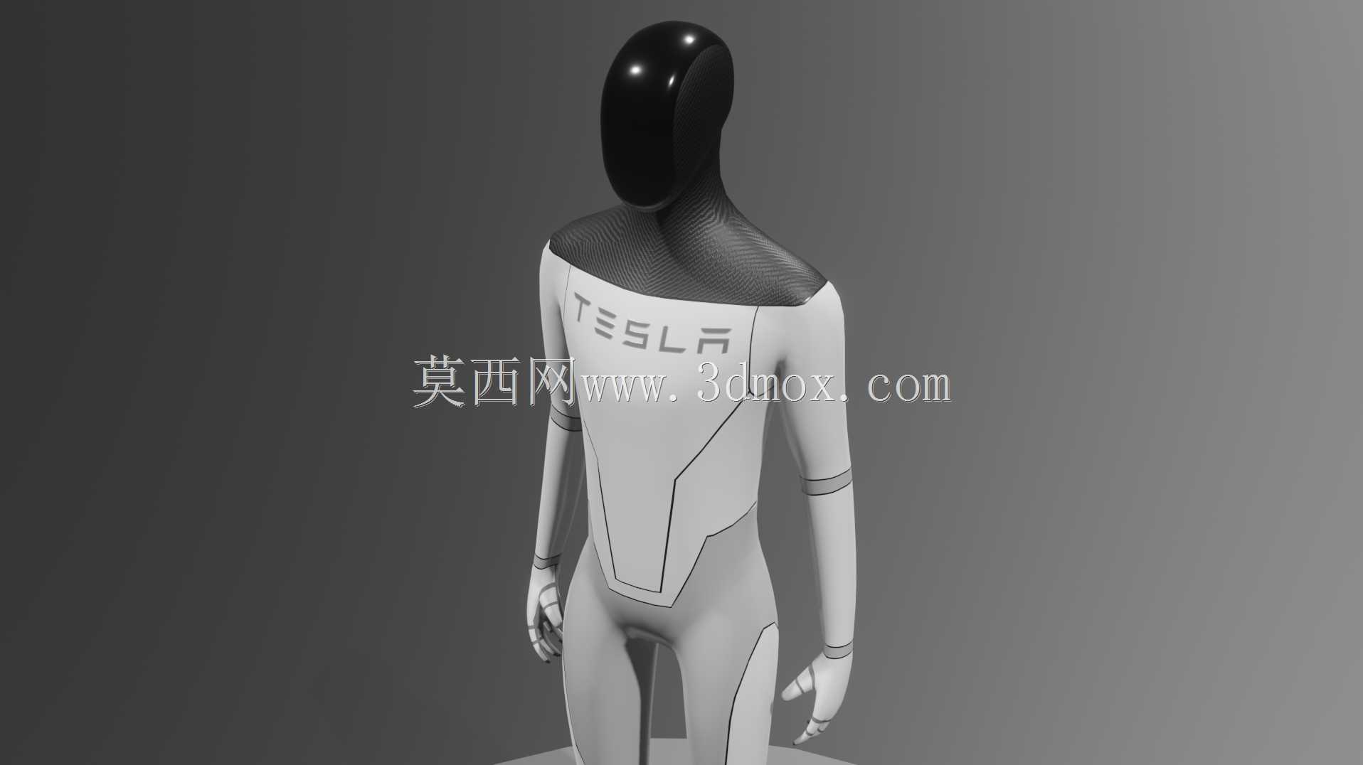 特斯拉机器人