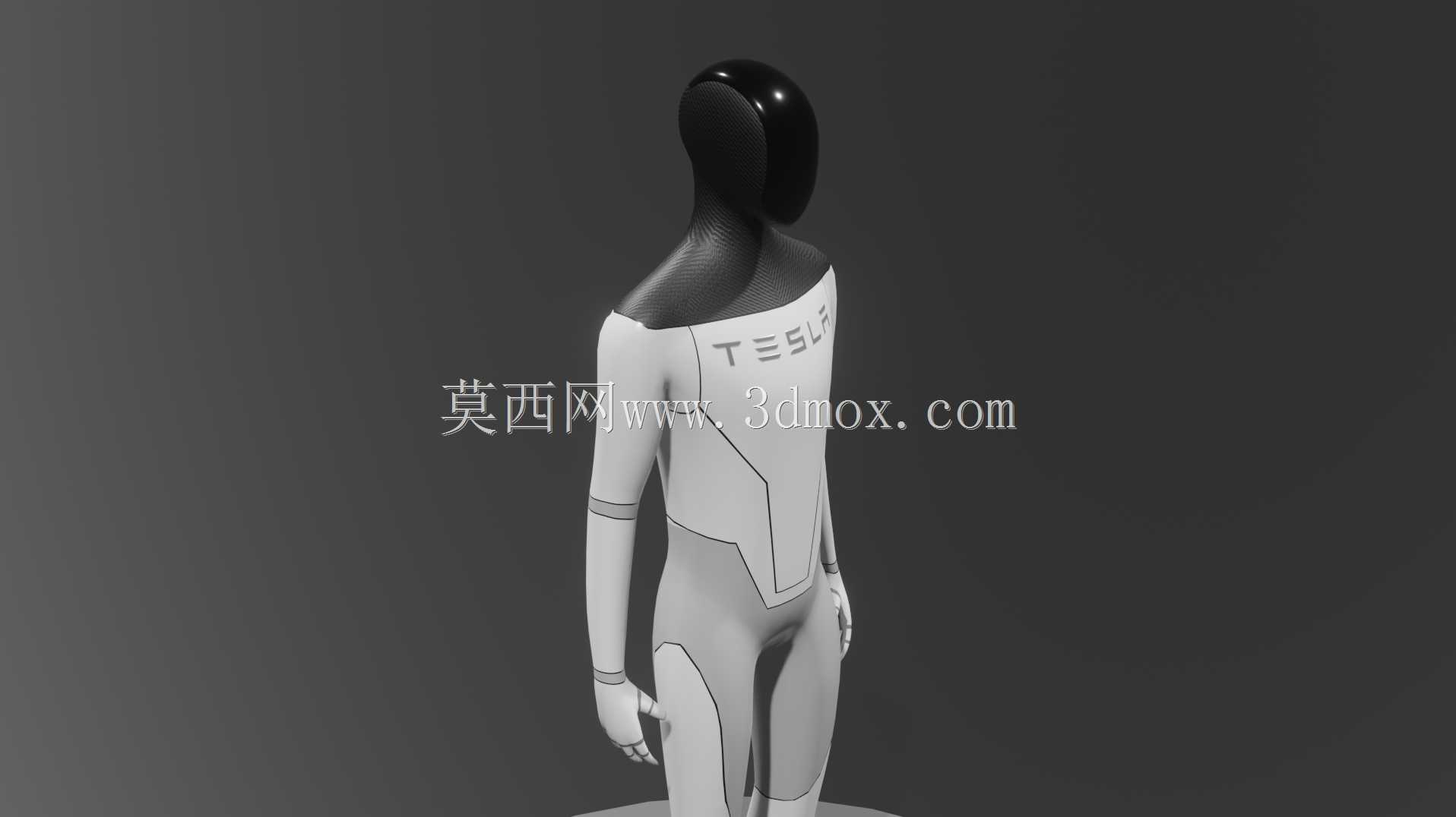 特斯拉机器人