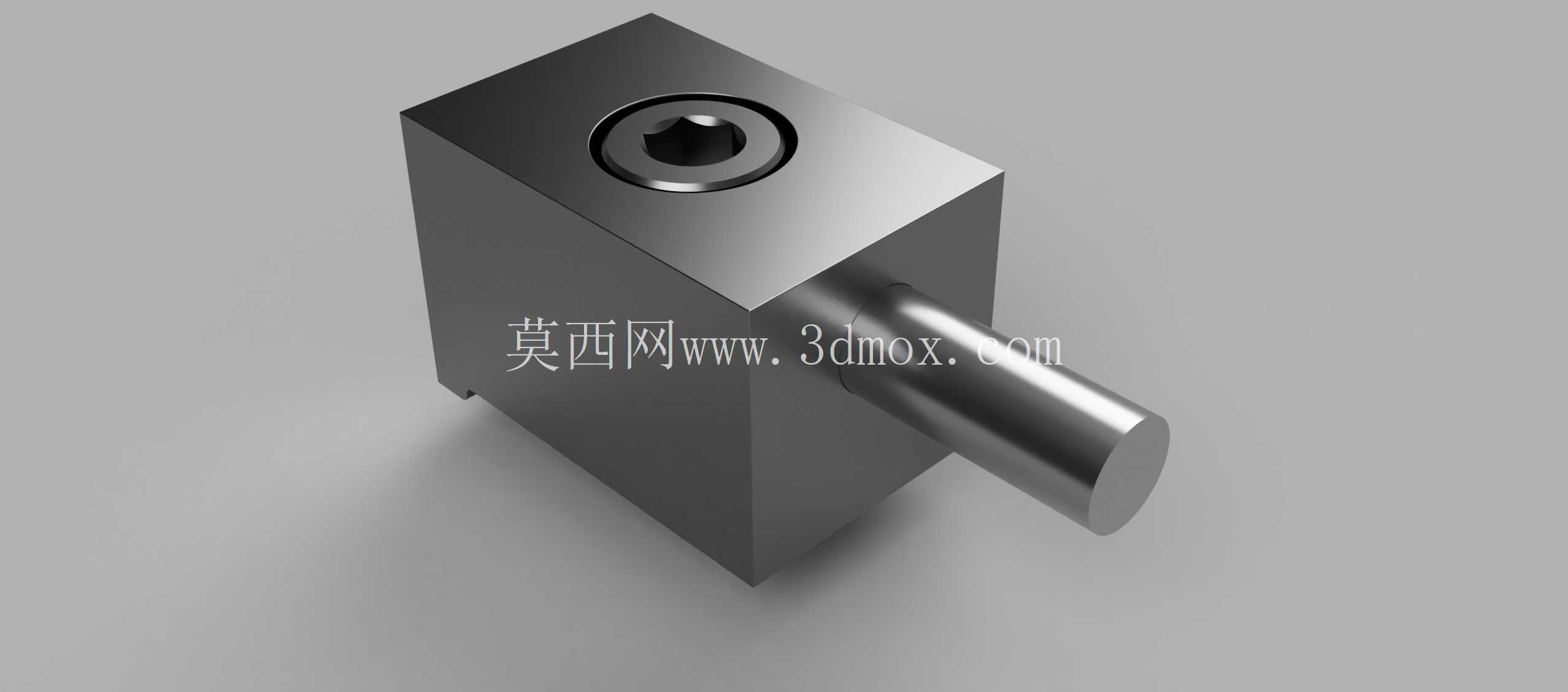 ����˿��ǯ��