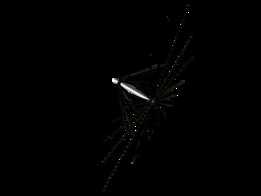  Umrella 7.5mtx 11.5