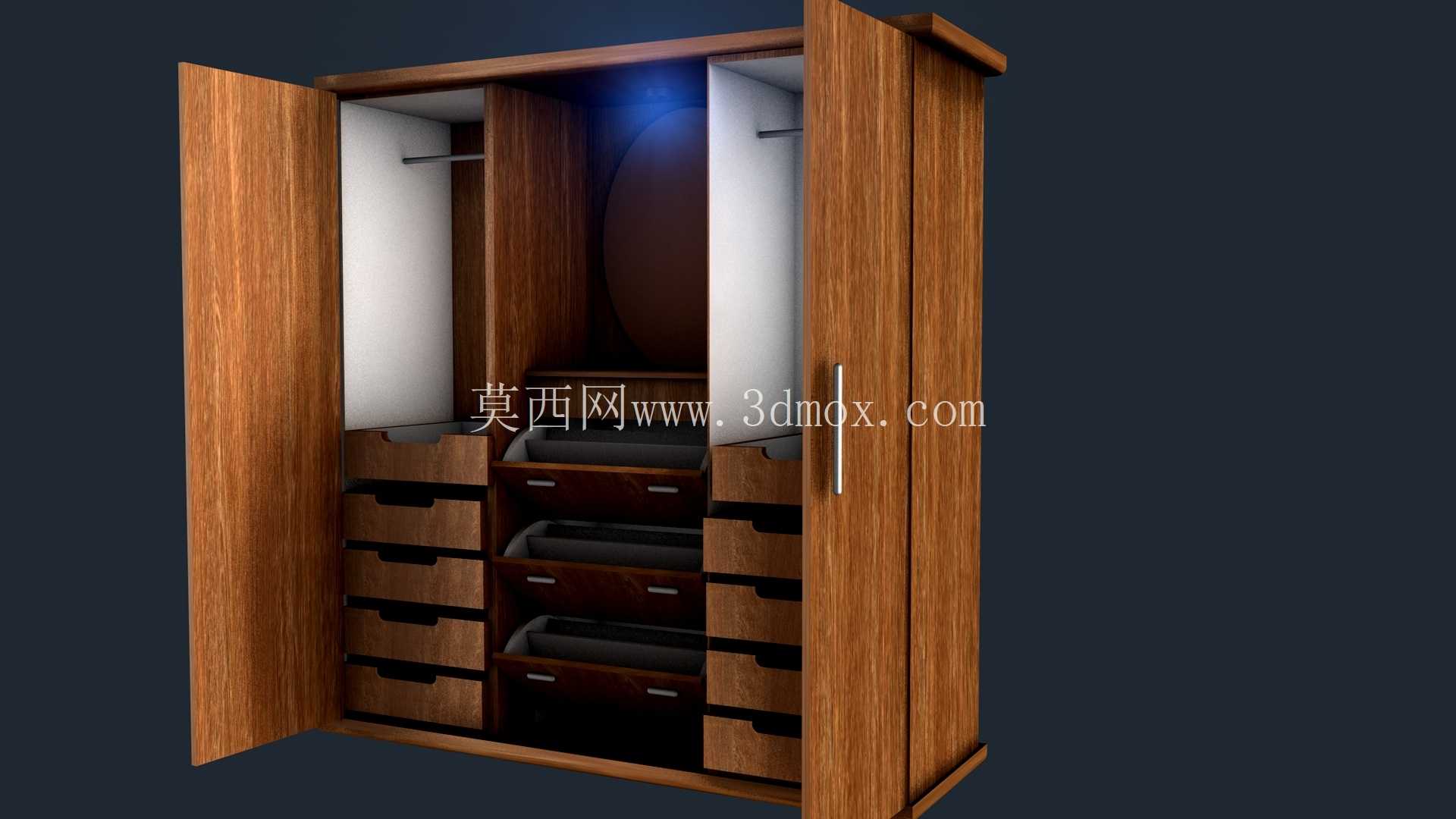 尼克·戈洛诺夫 (NICK GOLODNOFF) 家入口处的衣柜