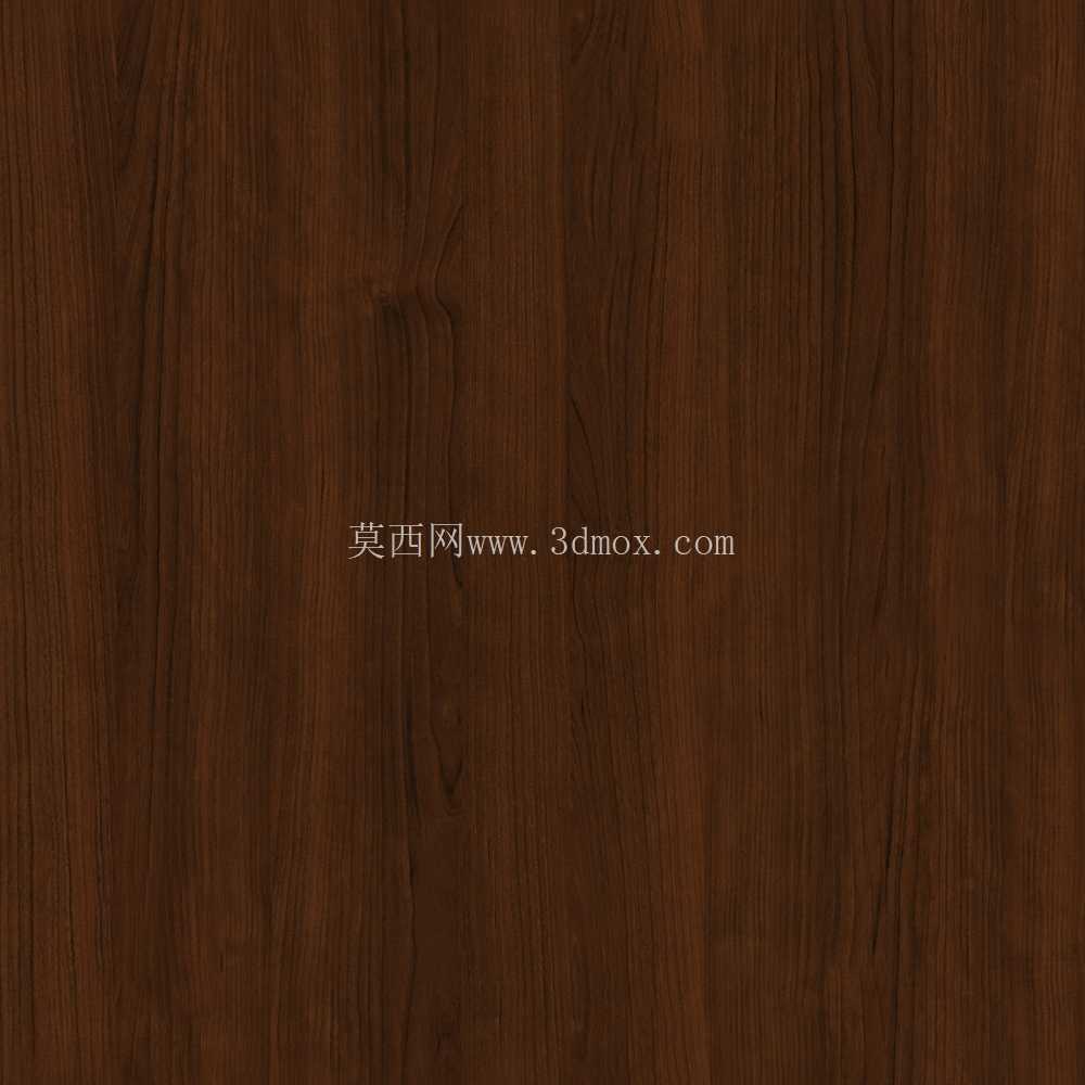  Modenese�ĵ۹����������