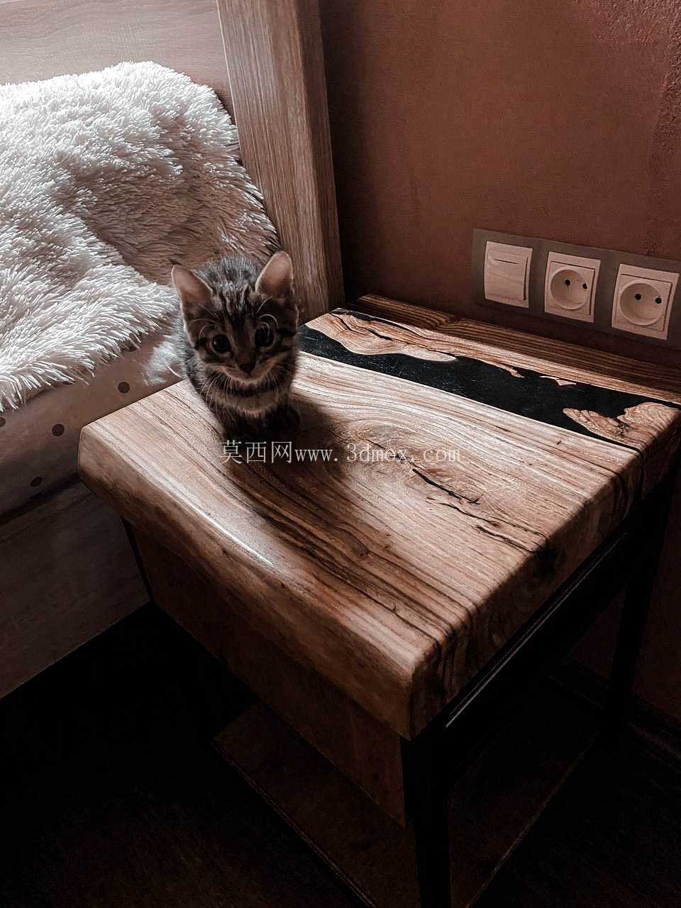 ������ͷ��