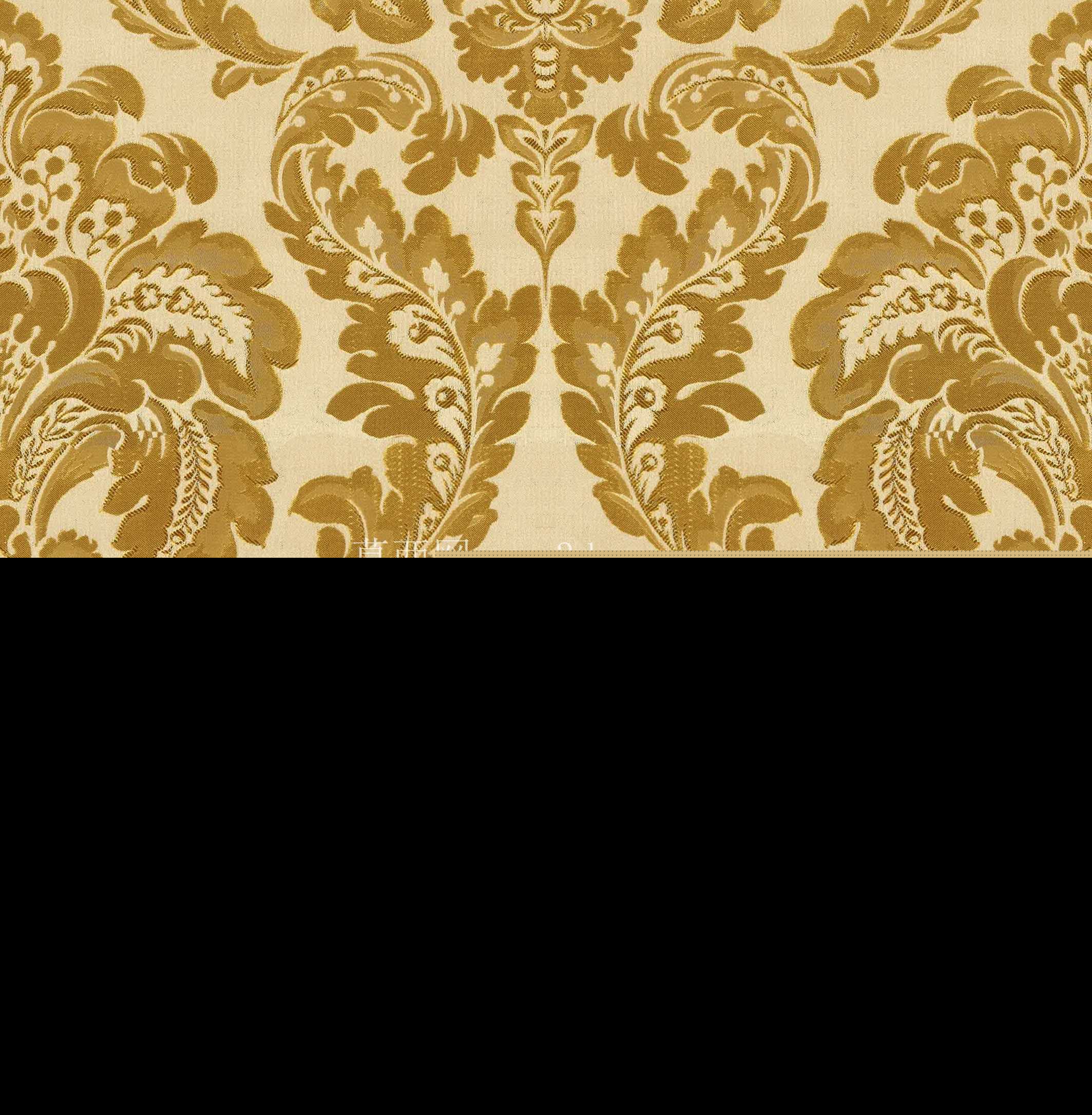 Modenese ������ͼ��������