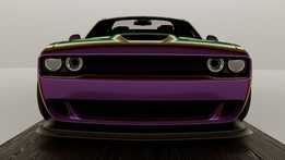 ������ս��SRT����è