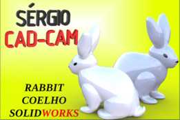 RABBIT��άģ��S��RGI