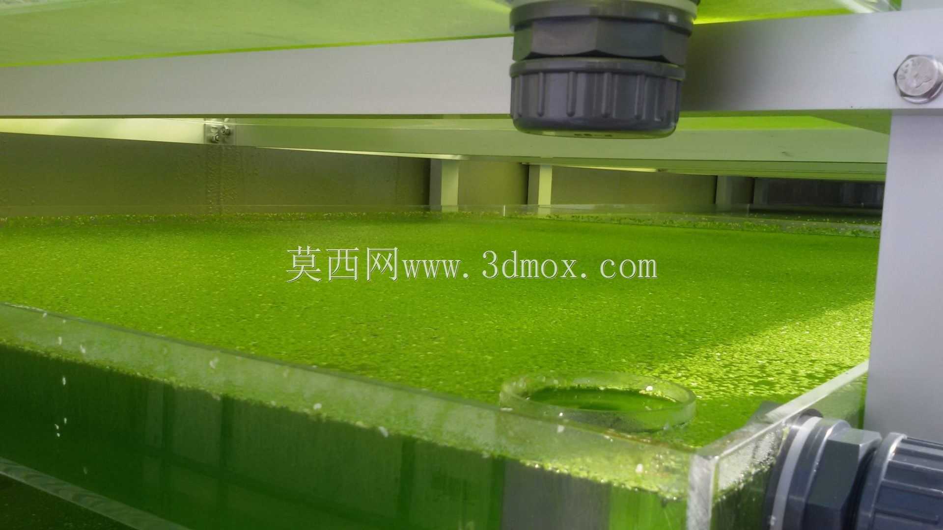 共生过滤器
