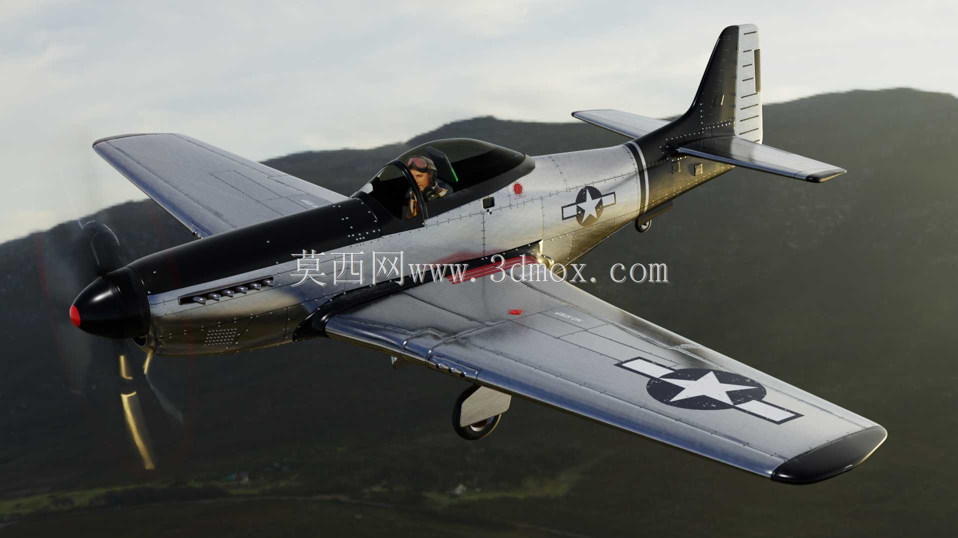 P51D野马