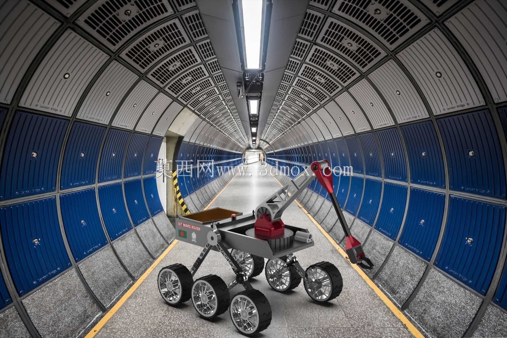 �������γ�