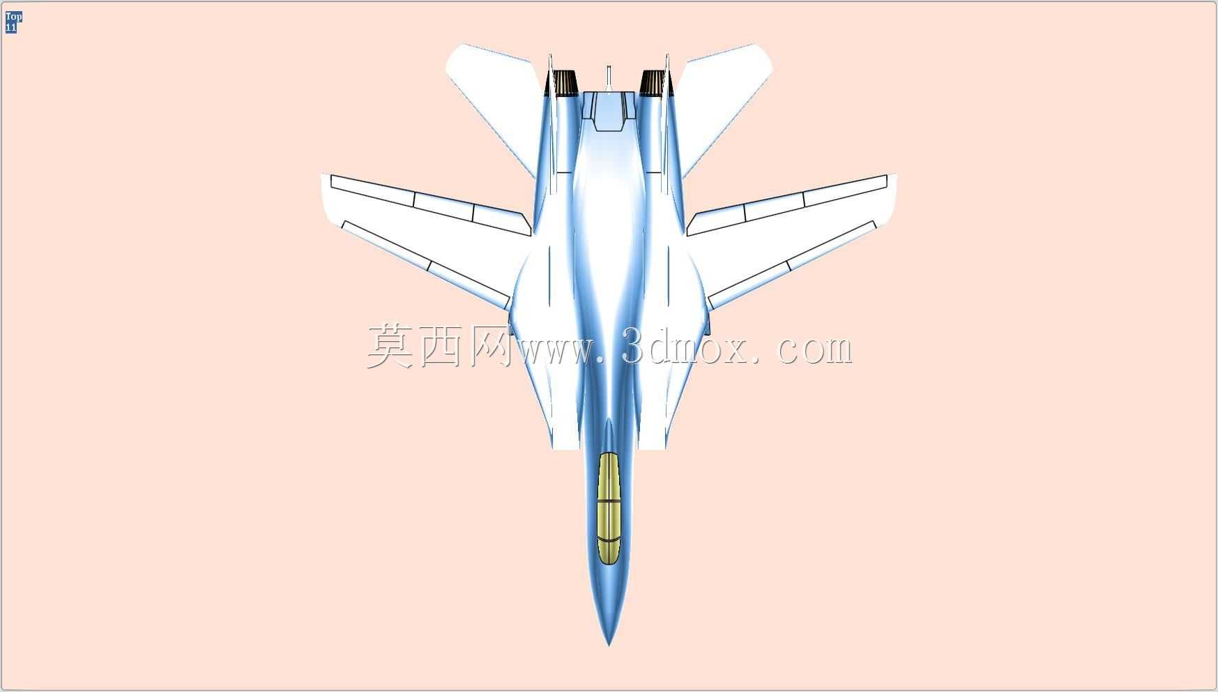 F-14ս����ʵ��װ��ģ��