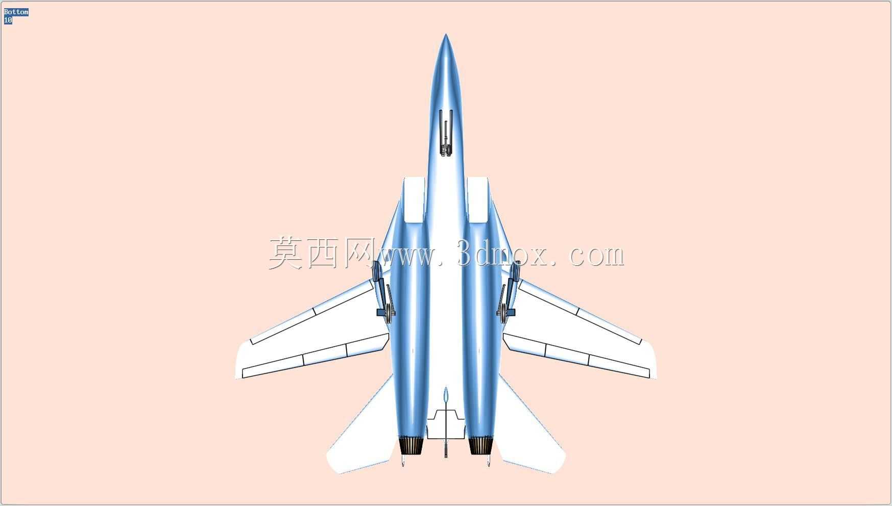 F-14ս����ʵ��װ��ģ��