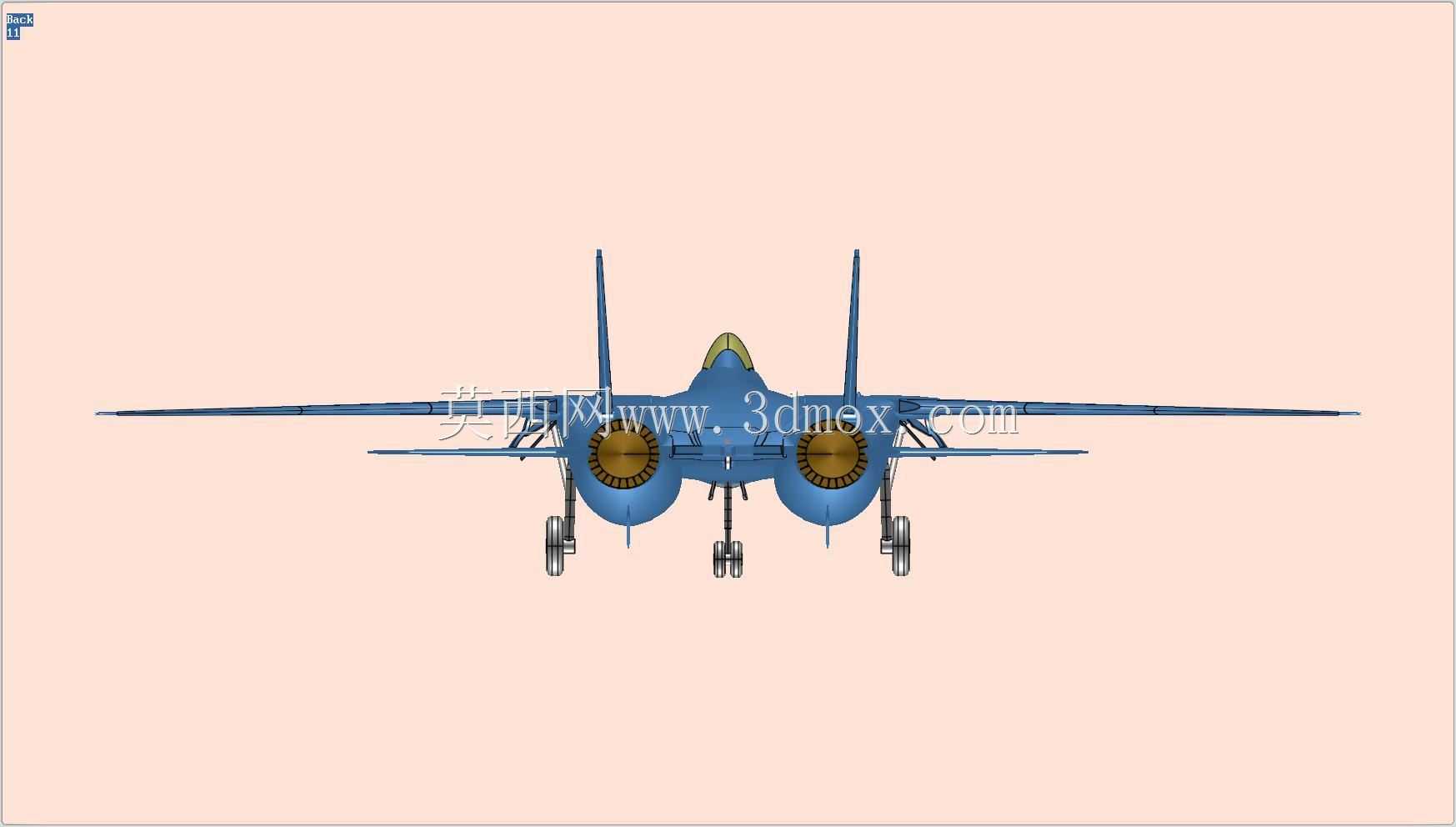 F-14ս����ʵ��װ��ģ��