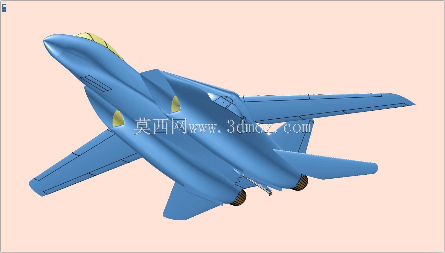 F-14ս����ʵ��װ��ģ��