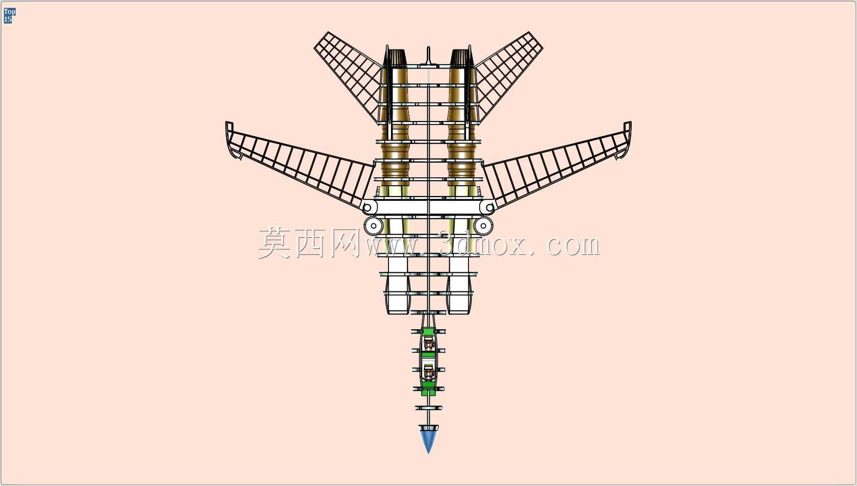 F-14ս����ʵ��װ��ģ��