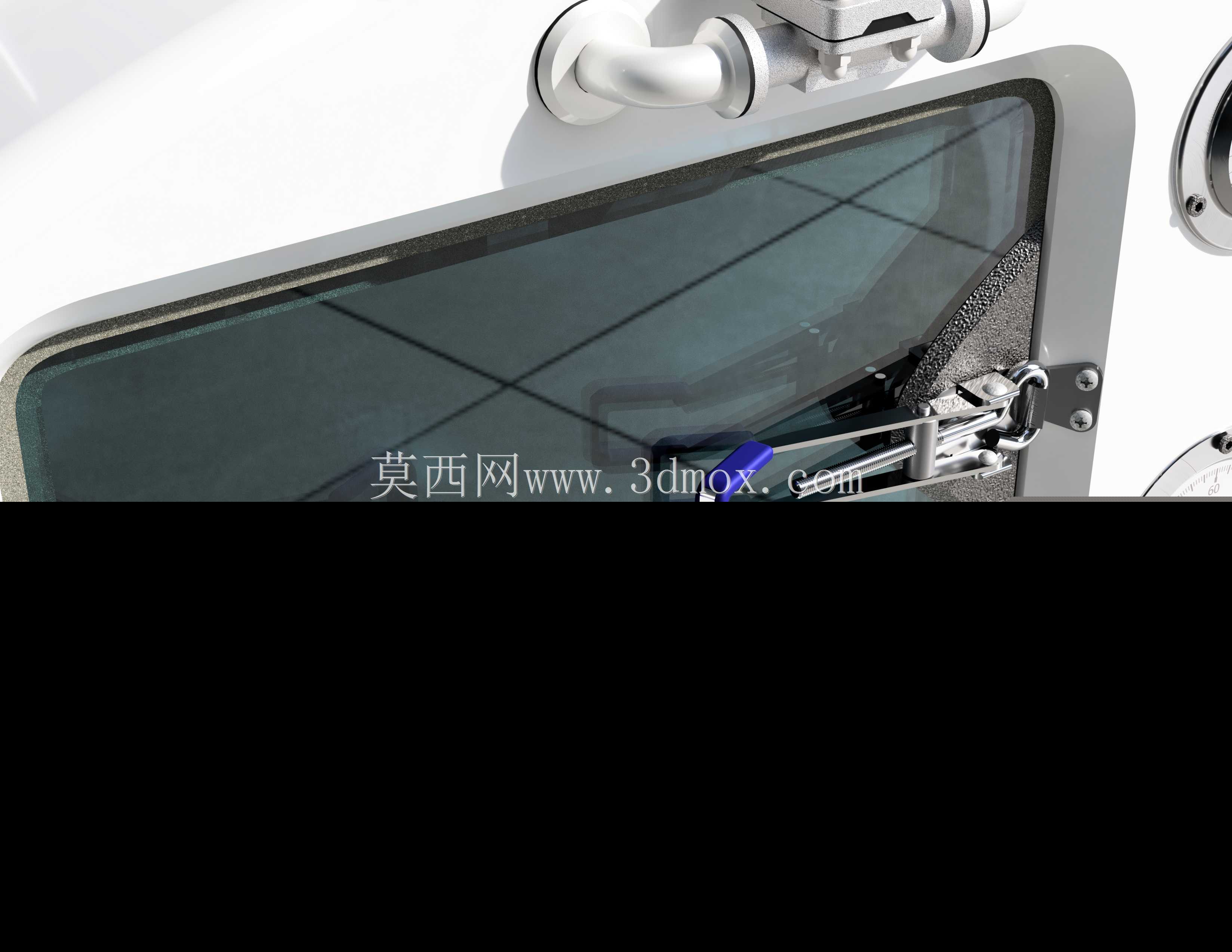 细胞